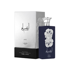 Ansaam Silver